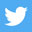 icon-twitter