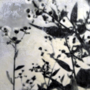 Jodi Reeb: Evocation