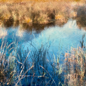 Jodi Reeb: Earth + Sky